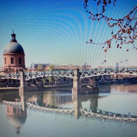 Le Saint Cyp - Toulouse - Appart Entier Cosy Et Au Calme, Proche Du Metro Eksteriør billede